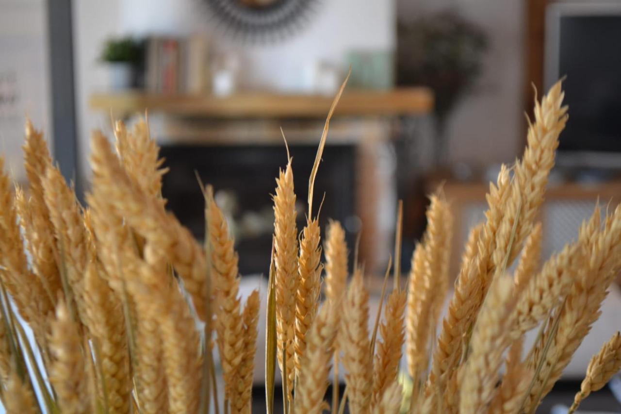 Finca Paredes Valdetorres de Jarama エクステリア 写真