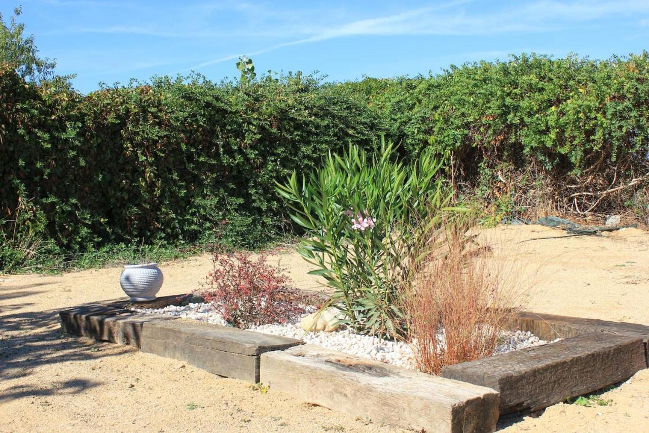 Finca Paredes Valdetorres de Jarama エクステリア 写真