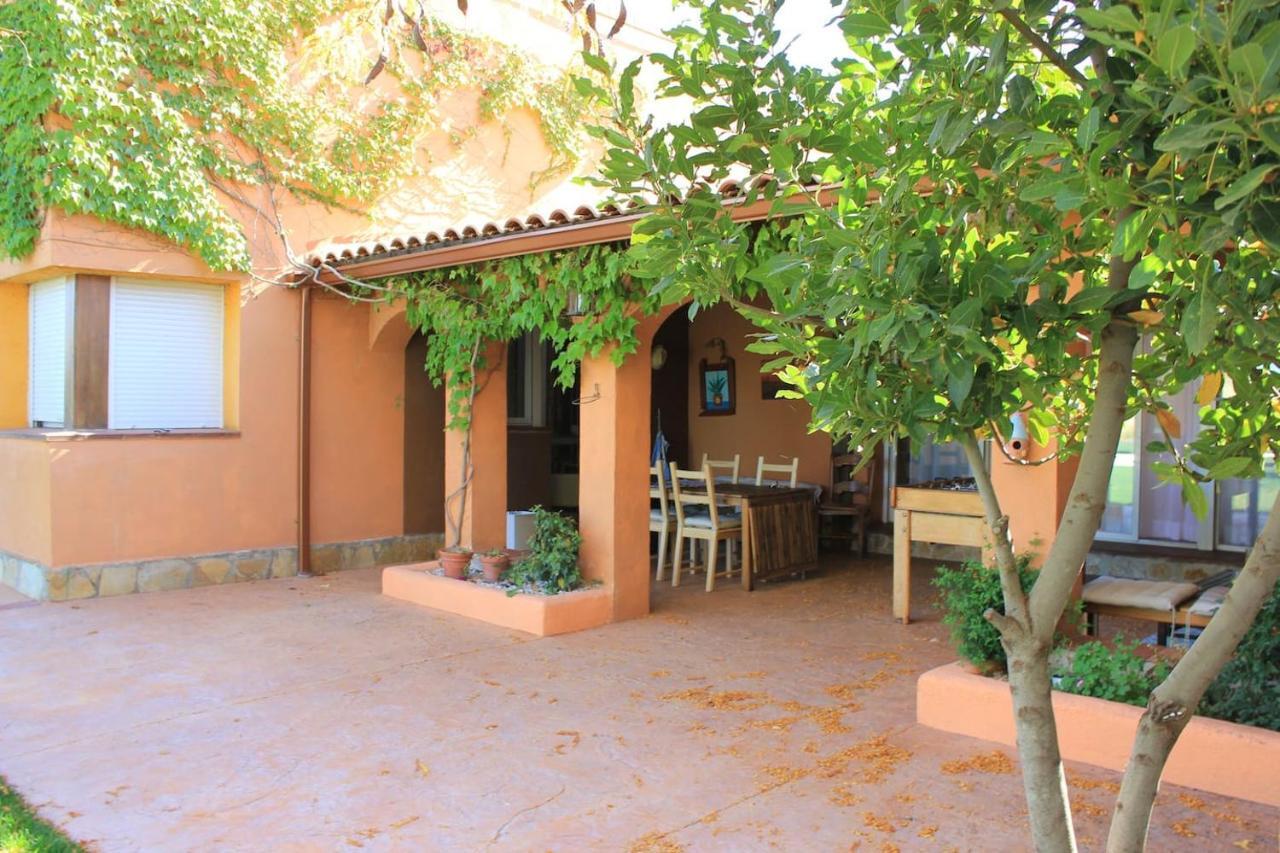 Finca Paredes Valdetorres de Jarama エクステリア 写真
