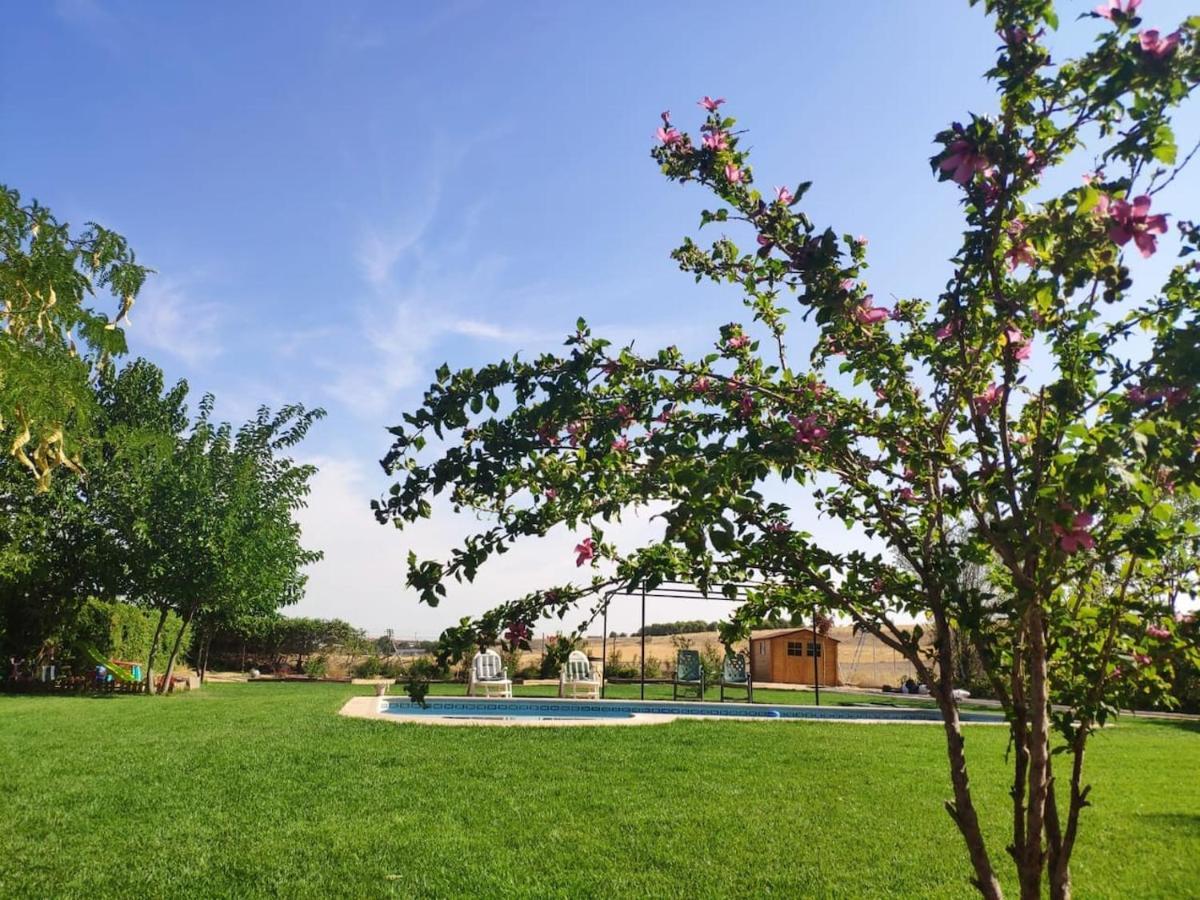 Finca Paredes Valdetorres de Jarama エクステリア 写真