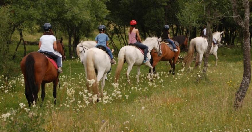 Finca Paredes Valdetorres de Jarama エクステリア 写真